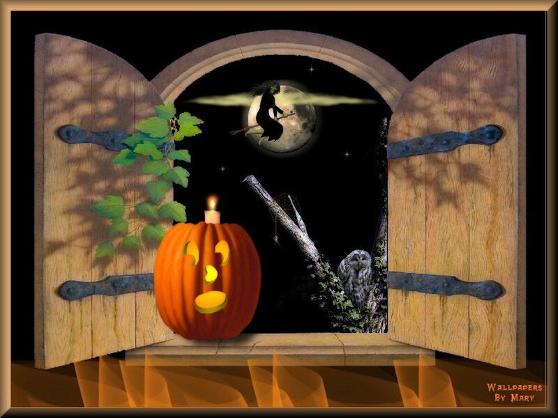 Pumpkin in Window