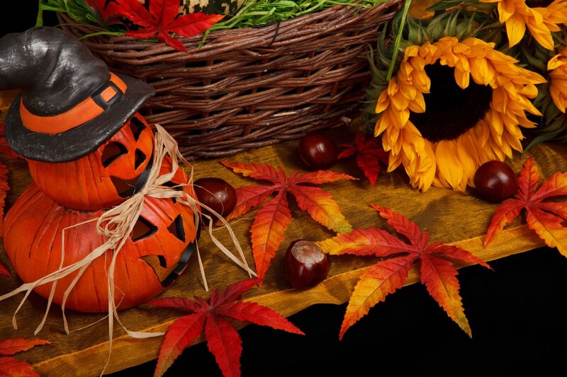 Pumpkin Jack-o-lanterns — Orange