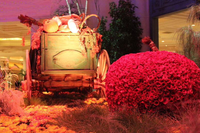 Pumpkin Made of Roses