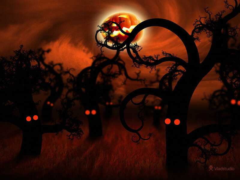 Pumpkin Moon in Forest