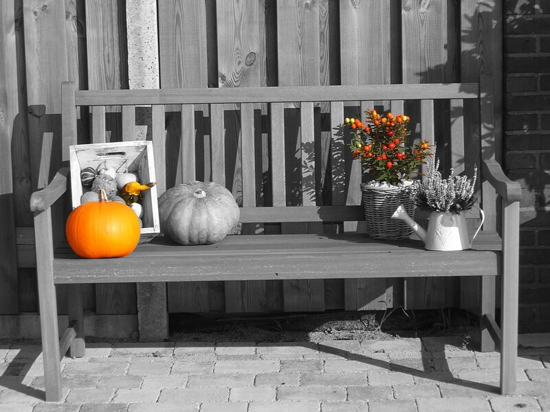 Pumpkin on a bench