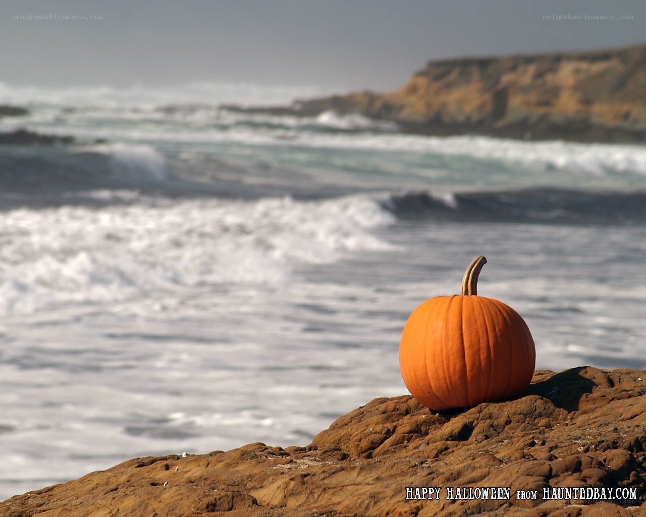 Pumpkin on a rocky beach