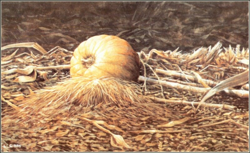 Pumpkin on corn stalks