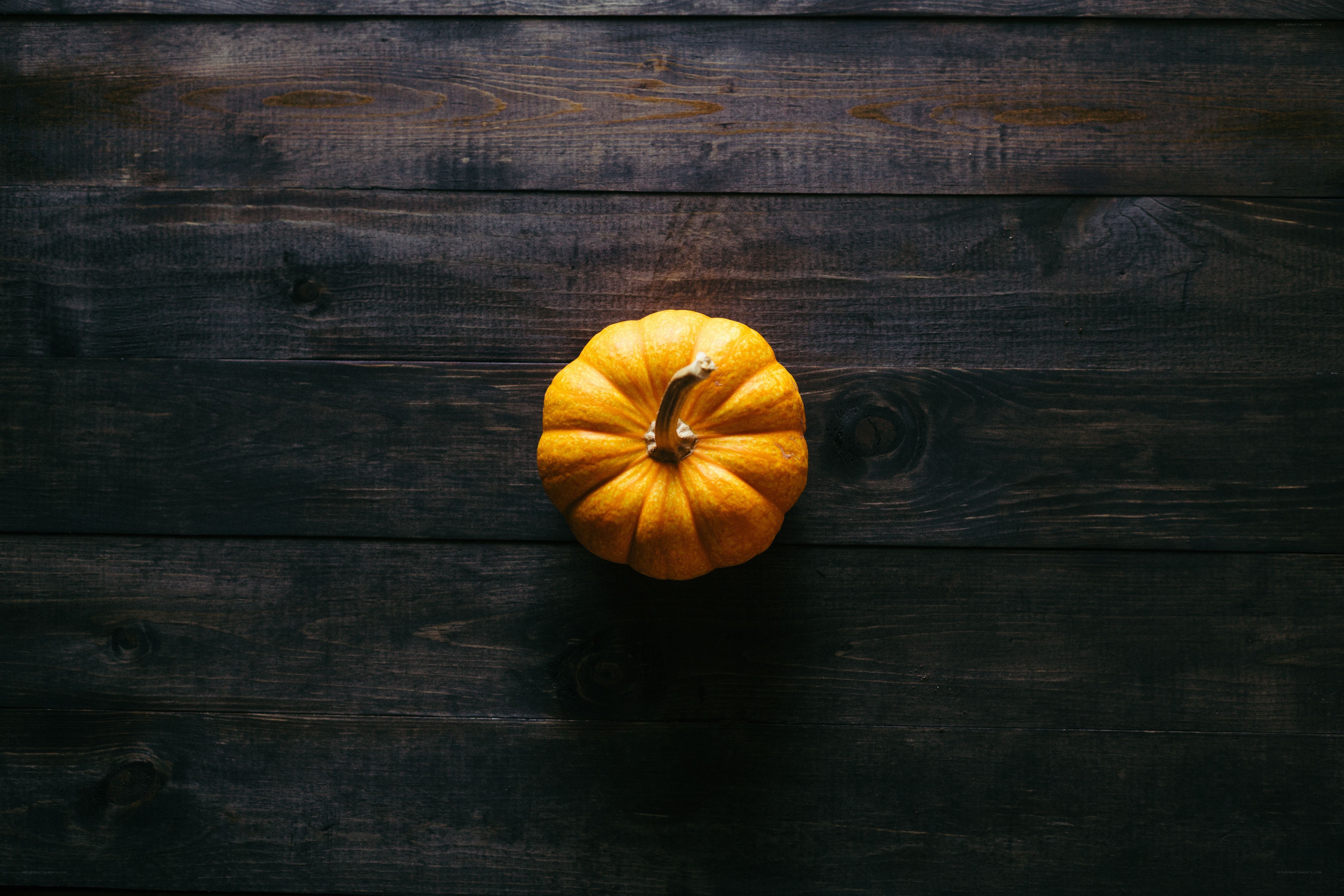 Pumpkin on dark wood