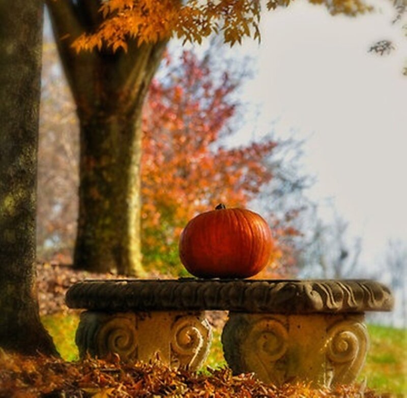 Pumpkin on Stone Bench
