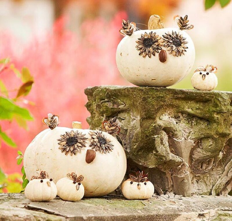 Pumpkin Owls on Stone