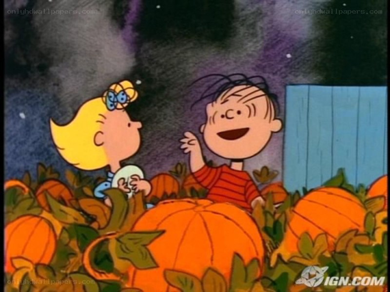 Pumpkin patch adventure