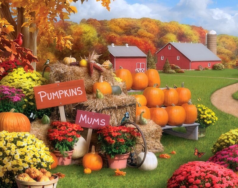 Pumpkin Patch at Farm