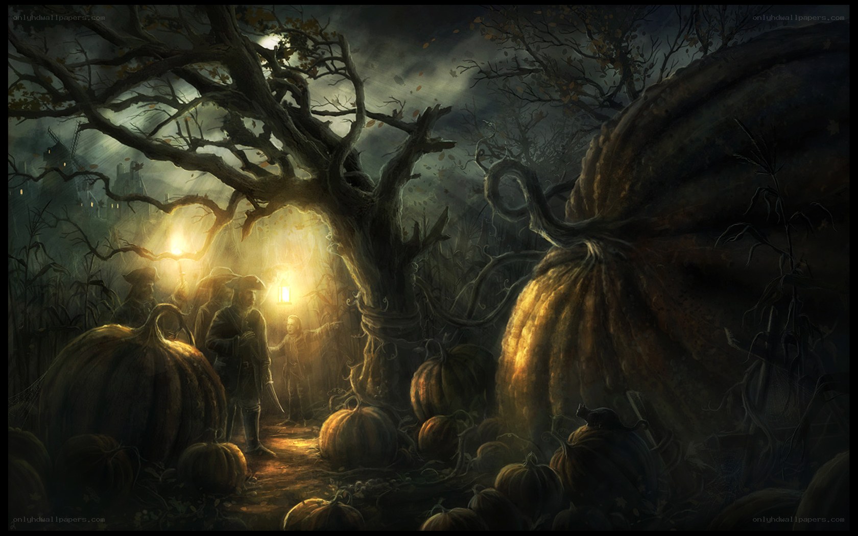 Pumpkin patch at night