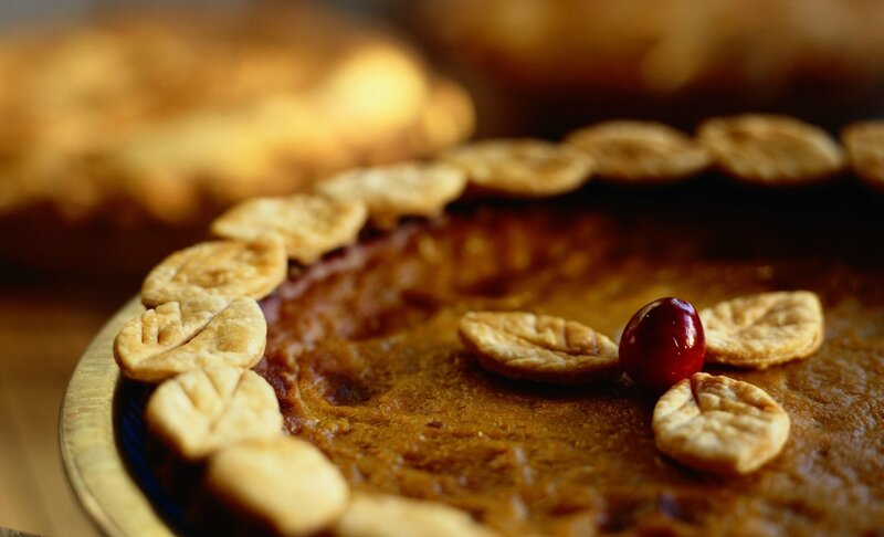 Pumpkin Pie with Cranberry — Brown, Warm, Autumn