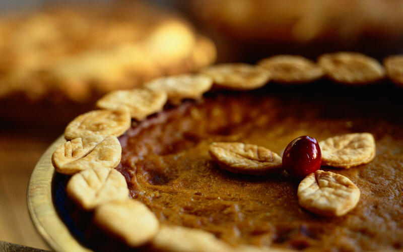 Pumpkin Pie with Cranberry — Brown, Warm