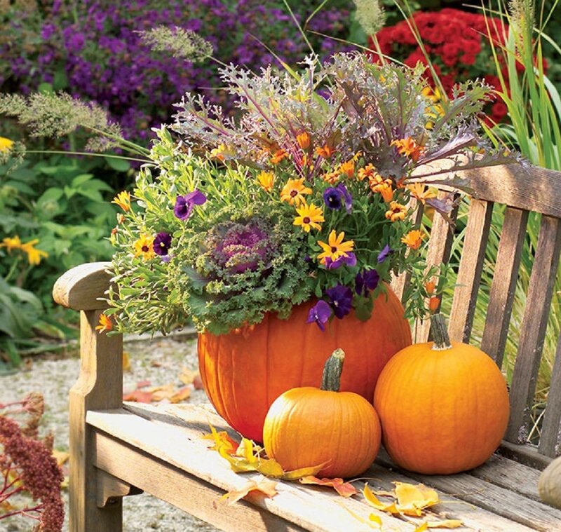 Pumpkin Planter on Bench
