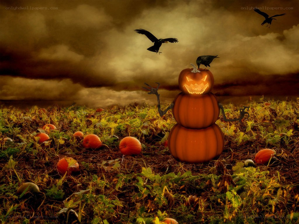 Pumpkin scarecrow in a field