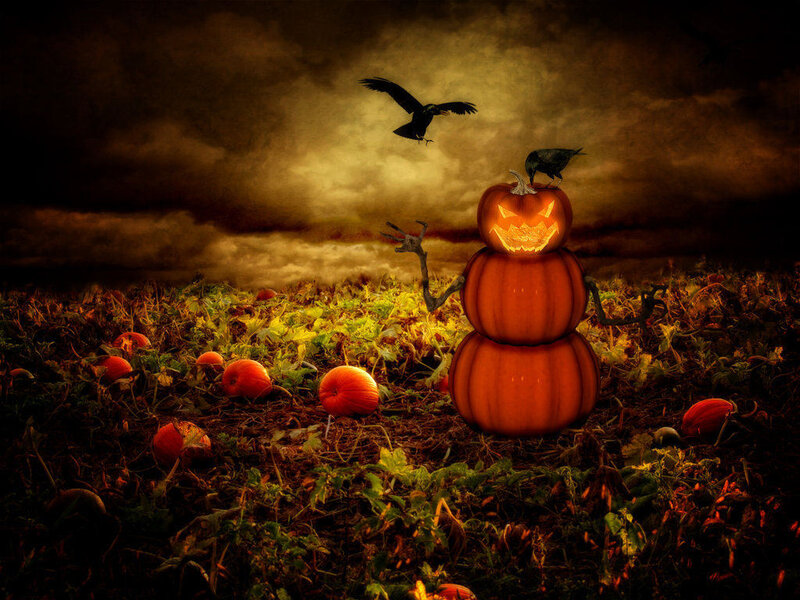 Pumpkin Scarecrow in Field — Orange