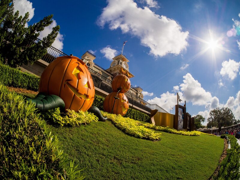 Pumpkin Sculptures on Lawn