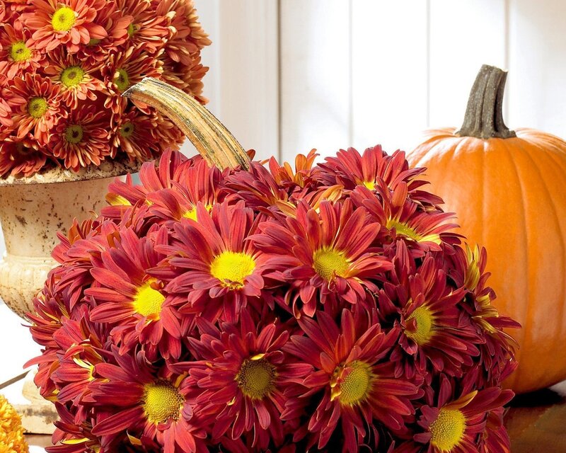 Pumpkin-shaped Flower Arrangement — Red, Autumnal