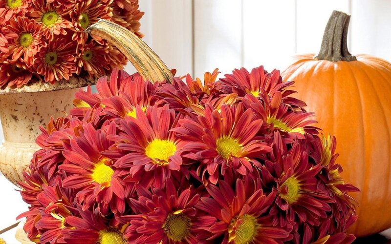 Pumpkin-shaped Flower Arrangement — Red