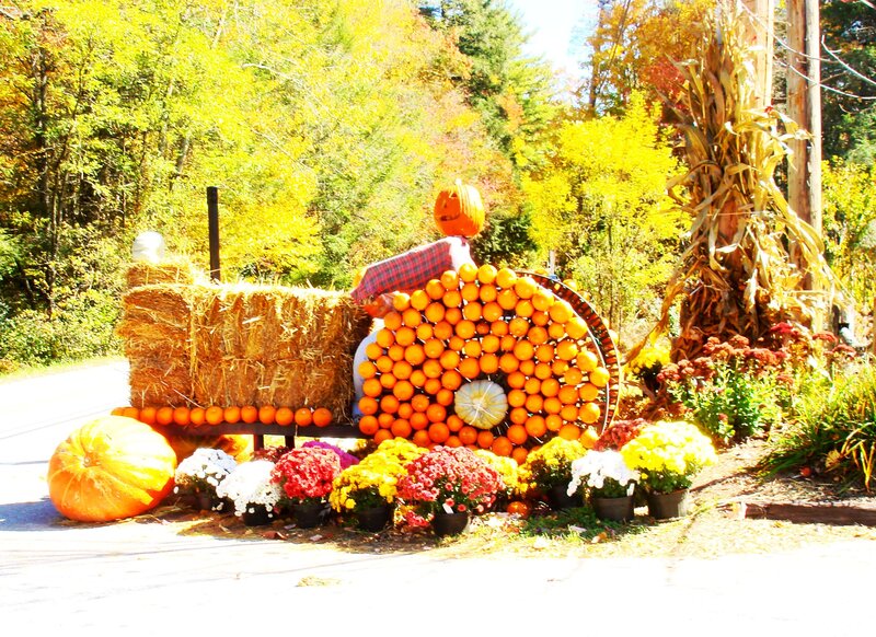 Pumpkin Tractor Display