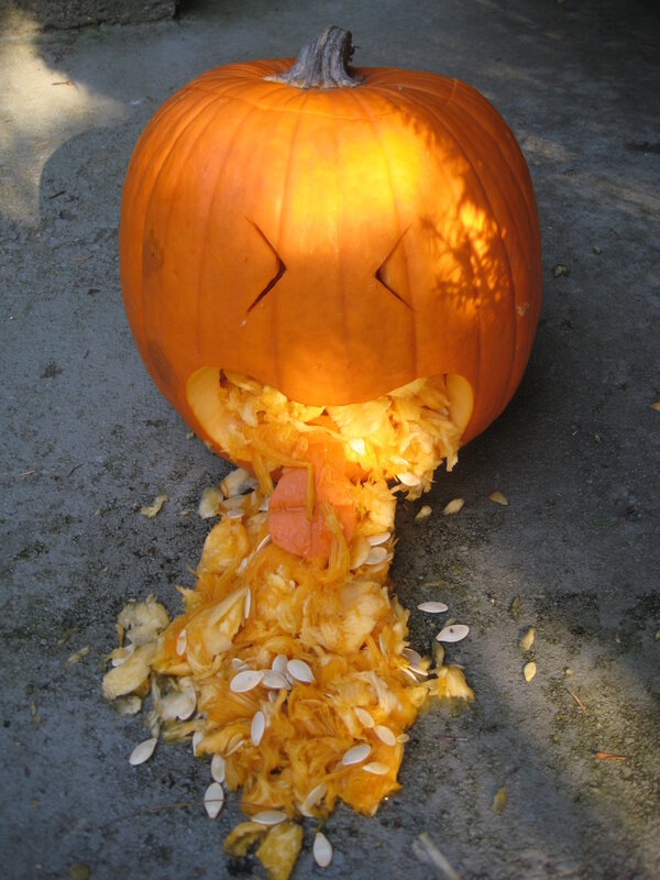 pumpkin vomiting seeds