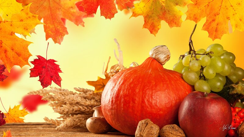 Pumpkin with Autumn Harvest — Orange, Photograph