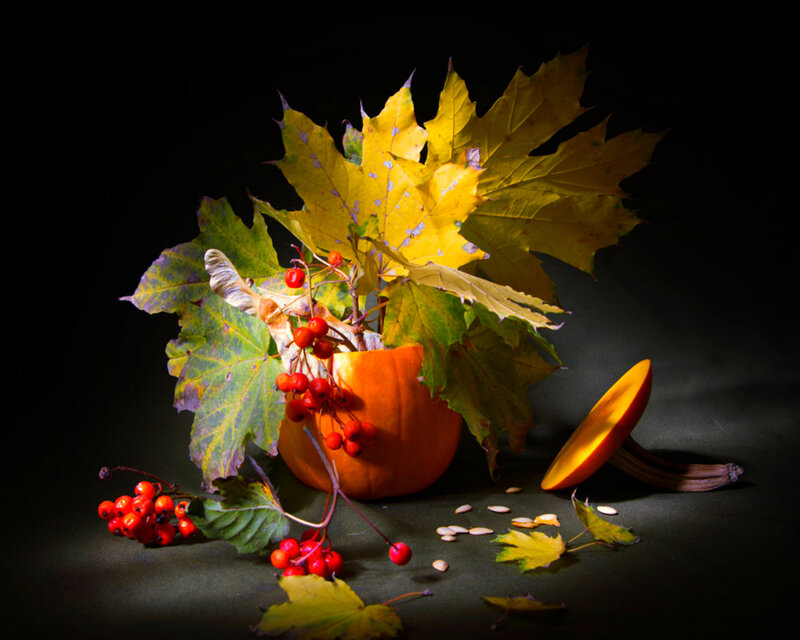 Pumpkin with Autumn Leaves — Orange, Dramatic, Photograph