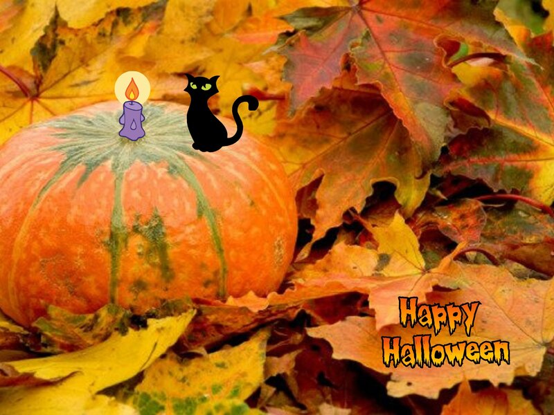 Pumpkin with Autumn Leaves — Orange, Festive, Photograph, Black Cat