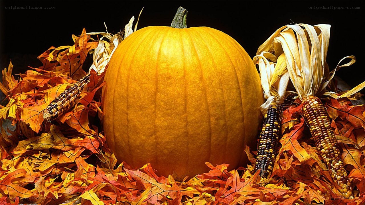 Pumpkin with autumn leaves