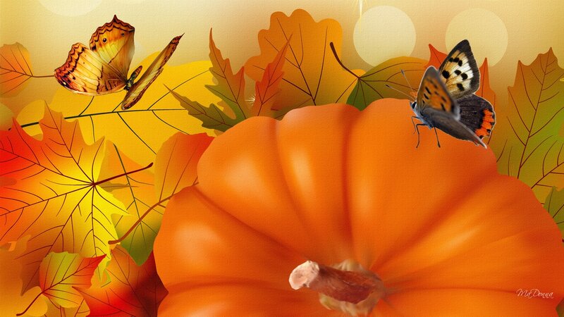 Pumpkin with Butterflies