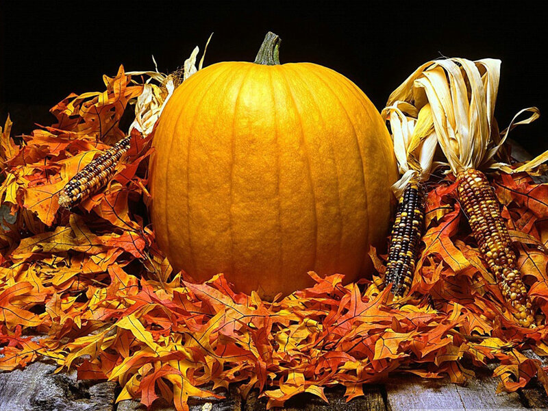 Pumpkin with Corn and Leaves — Orange, Autumnal