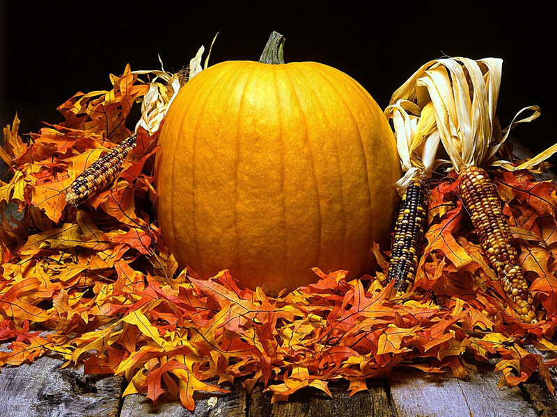 Pumpkin with Corn and Leaves — Orange