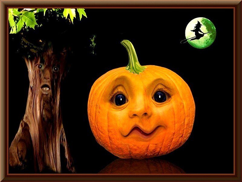 Pumpkin with Face