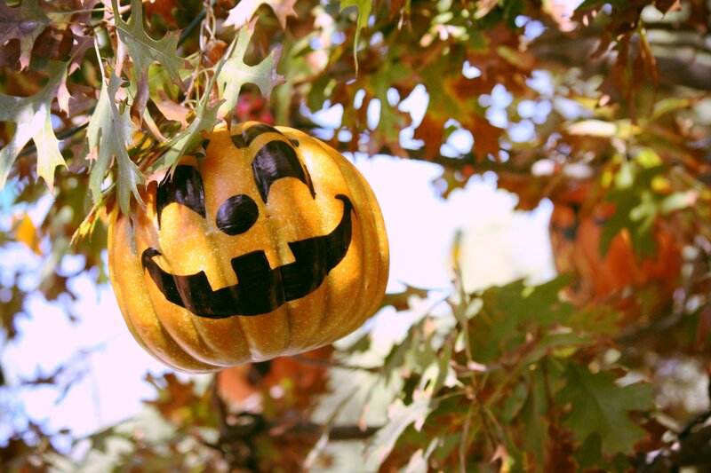 Pumpkin with Jack-o-lantern Face