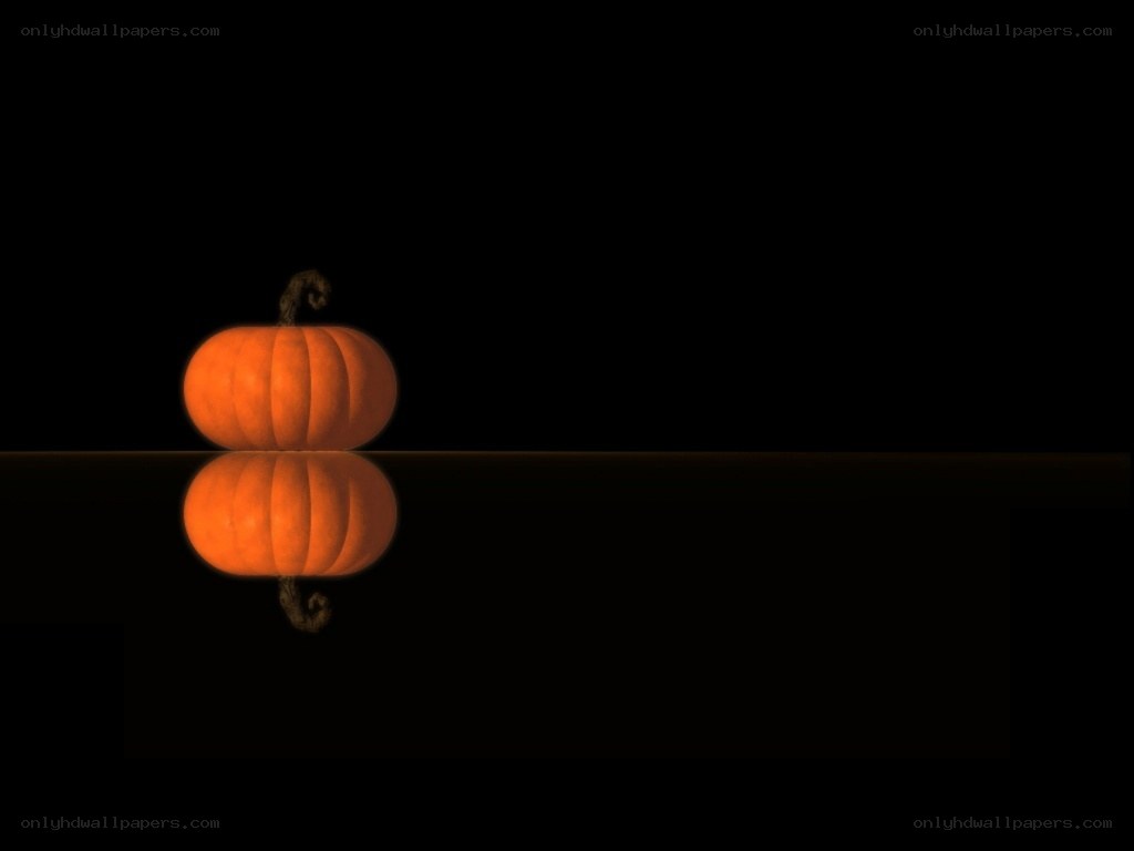 Pumpkin with reflection