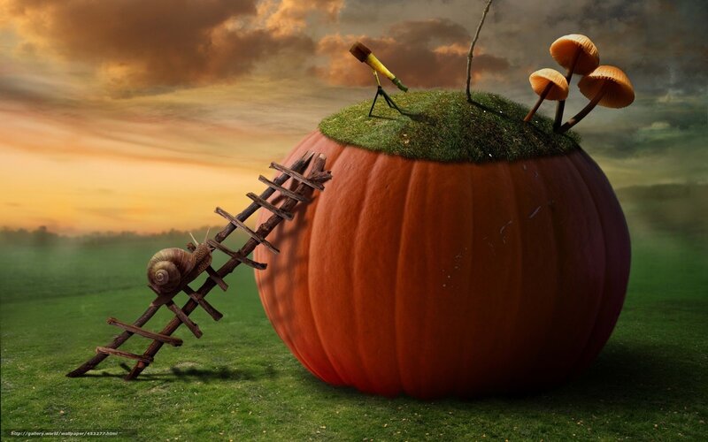 Pumpkin with snail and mushrooms