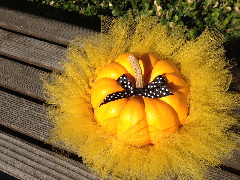 Pumpkin with Tulle Skirt