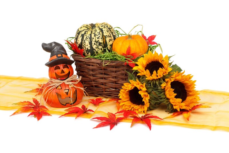 Pumpkin with Witch Hat — Orange, Festive, Autumn, Photograph