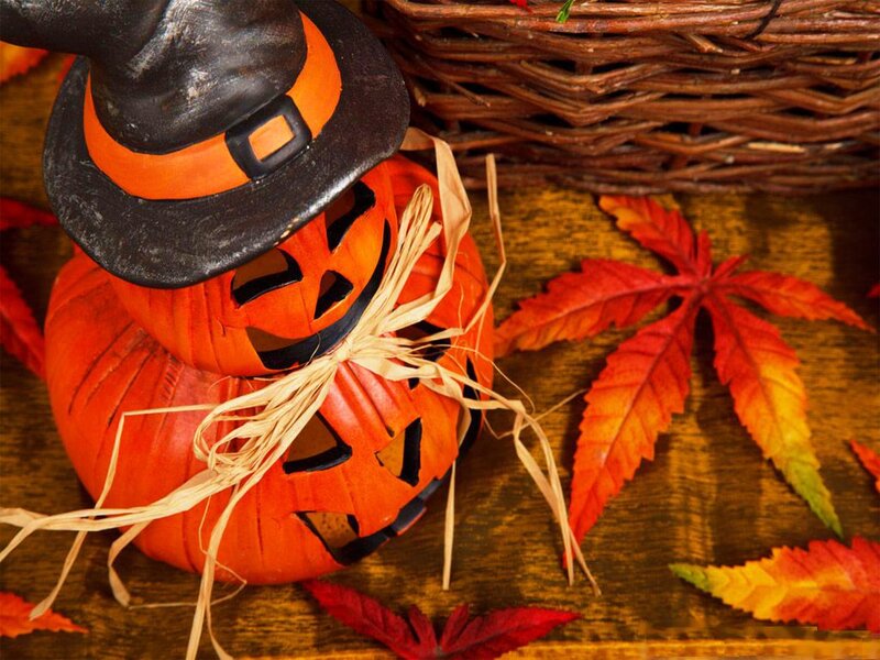 Pumpkin with Witch Hat — Orange, Festive, Autumn