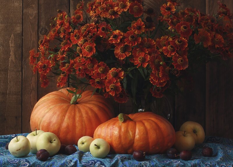 Pumpkins and Apples — Orange