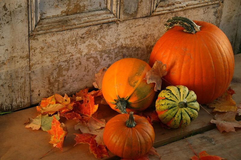 Pumpkins and Autumn Leaves — Orange, Autumnal