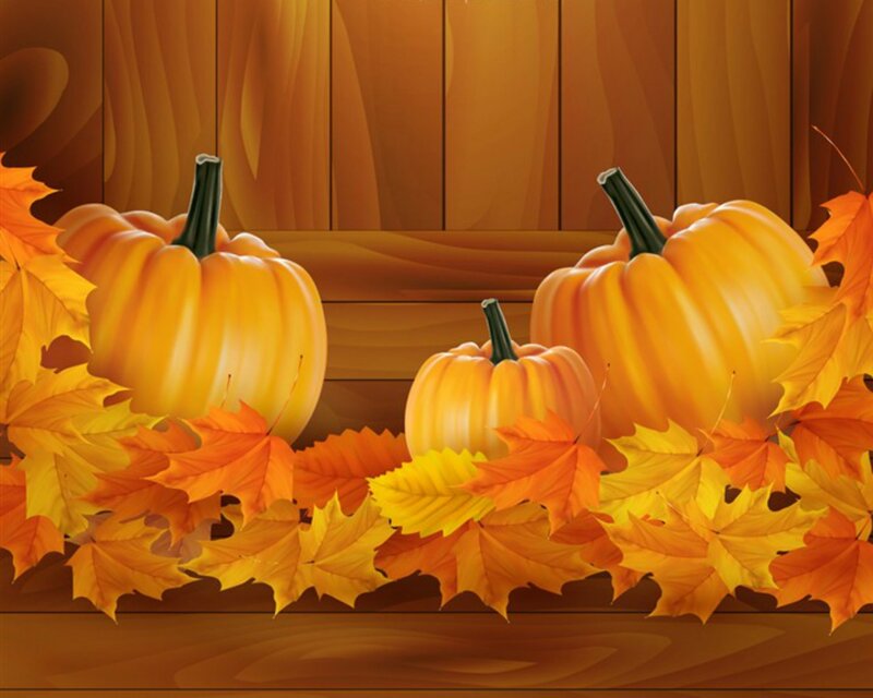 Pumpkins and Autumn Leaves — Orange, Festive, Illustration, Pumpkin, Leaf