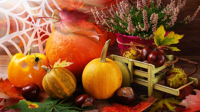 Pumpkins and Autumn Leaves — Orange, Festive, Photograph, Chestnuts