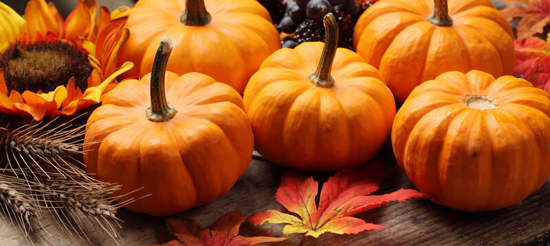 Pumpkins and Autumn Leaves — Orange, Harvest