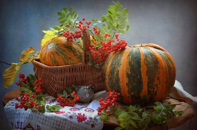 Pumpkins and Berries — Orange