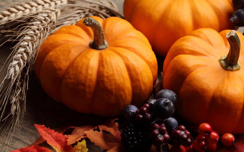 Pumpkins and Berries