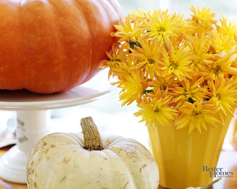 Pumpkins and Flowers — Orange, Autumnal