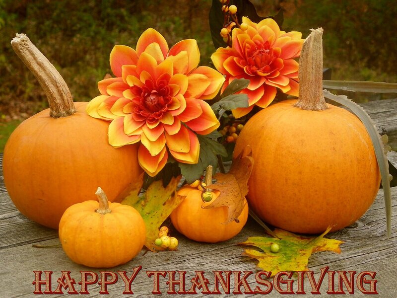 Pumpkins and Flowers — Orange, Festive, Autumn