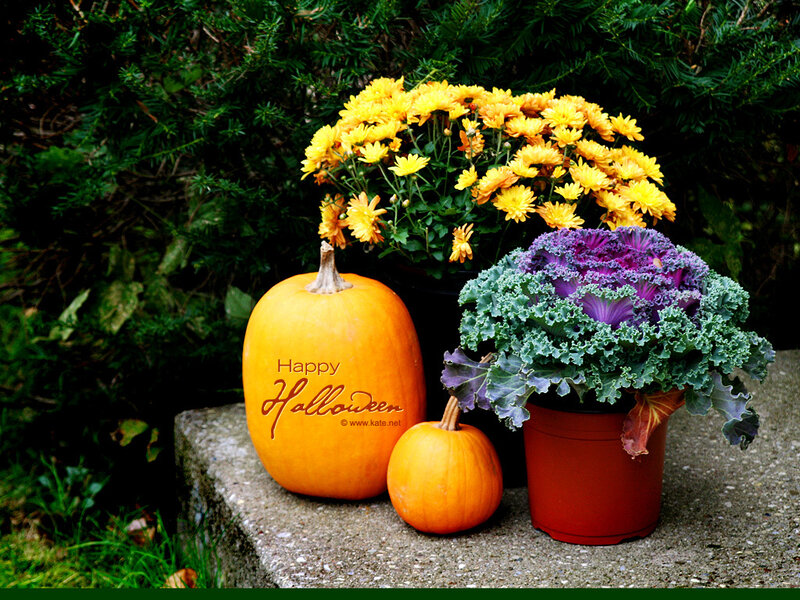 Pumpkins and Flowers