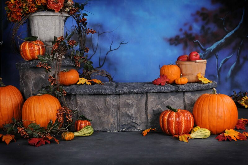 Pumpkins and Gourds Display — Orange