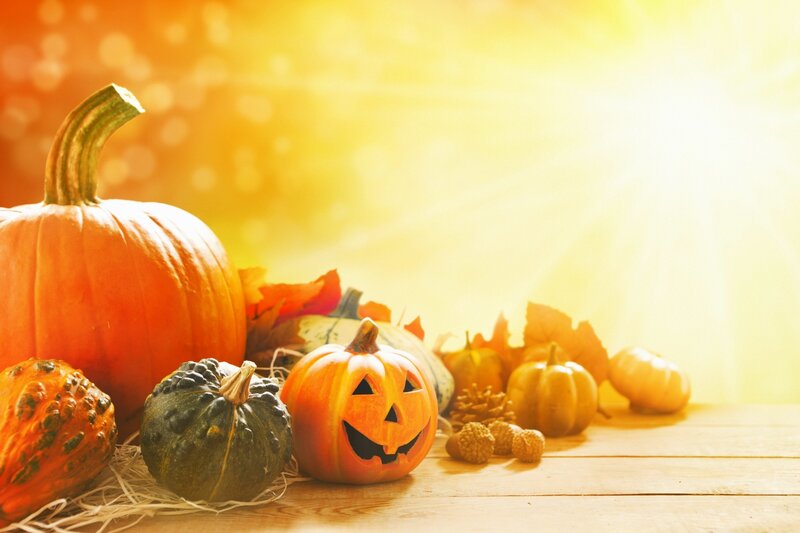 Pumpkins and Gourds on Wood