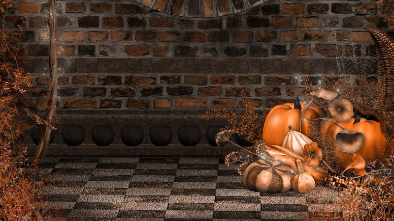 Pumpkins and Gourds — Orange, Autumnal, Autumn, Digital Art, Brick Wall